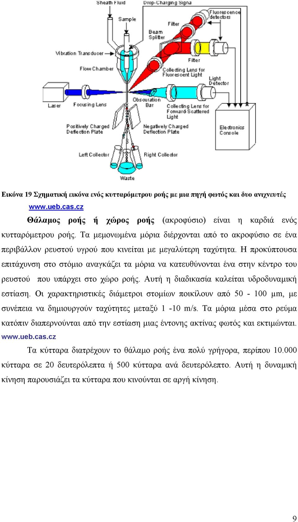 Η προκύπτουσα επιτάχυνση στο στόµιο αναγκάζει τα µόρια να κατευθύνονται ένα στην κέντρο του ρευστού που υπάρχει στο χώρο ροής. Αυτή η διαδικασία καλείται υδροδυναµική εστίαση.