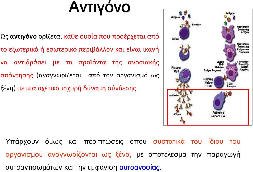 ξένη) με μια σχετικά ισχυρή δύναμη σύνδεσης.