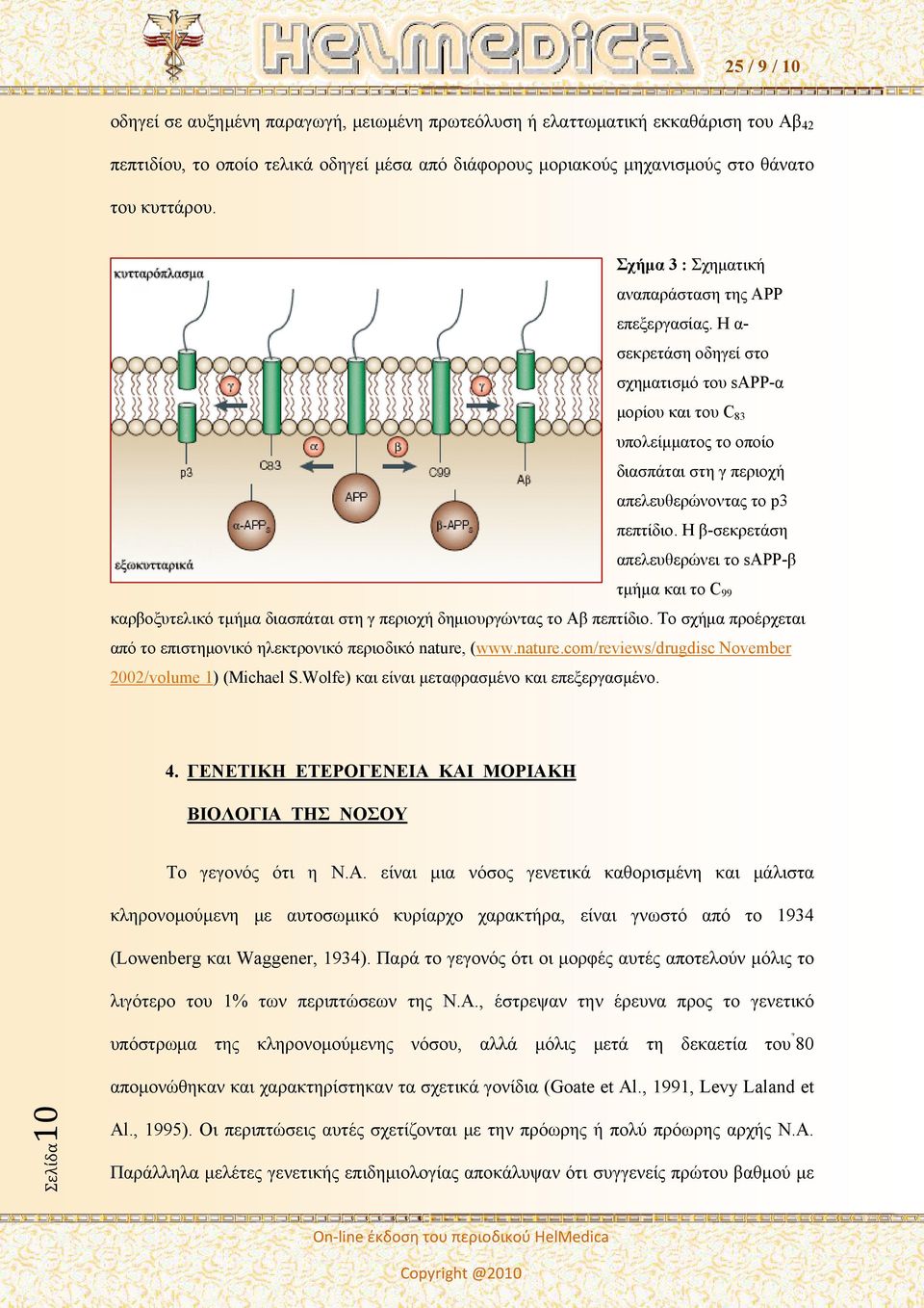 Η α- σεκρετάση οδηγεί στο σχηματισμό του sapp-α μορίου και του C 83 υπολείμματος το οποίο διασπάται στη γ περιοχή απελευθερώνοντας το p3 πεπτίδιο.