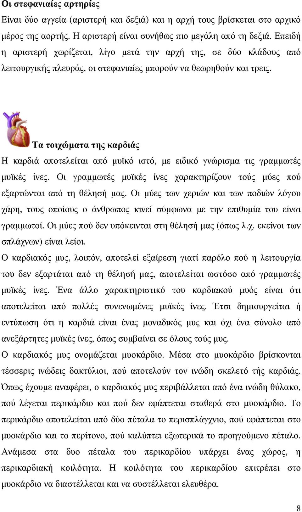 Τα τοιχώµατα της καρδιάς Η καρδιά αποτελείται από µυϊκό ιστό, µε ειδικό γνώρισµα τις γραµµωτές µυϊκές ίνες. Οι γραµµωτές µυϊκές ίνες χαρακτηρίζουν τούς µύες πού εξαρτώνται από τη θέλησή µας.