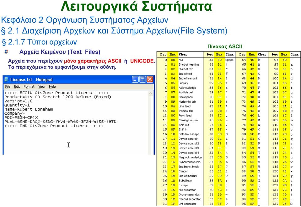 χαρακτήρες ASCII ή UNICODE.