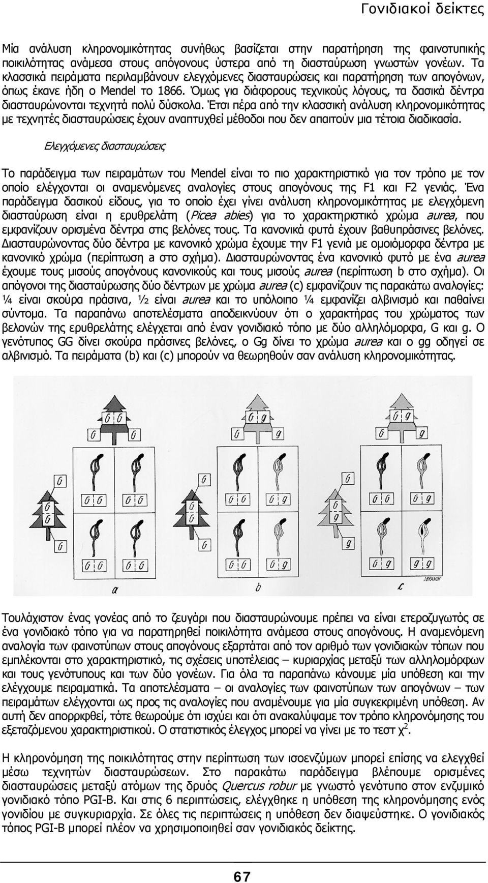 Όµως για διάφορους τεχνικούς λόγους, τα δασικά δέντρα διασταυρώνονται τεχνητά πολύ δύσκολα.