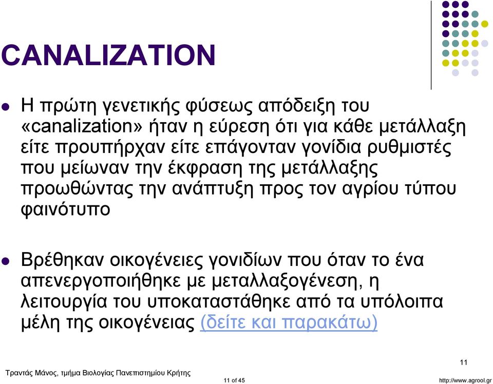 τον αγρίου τύπου φαινότυπο Βρέθηκαν οικογένειες γονιδίων που όταν το ένα απενεργοποιήθηκε με μεταλλαξογένεση, η