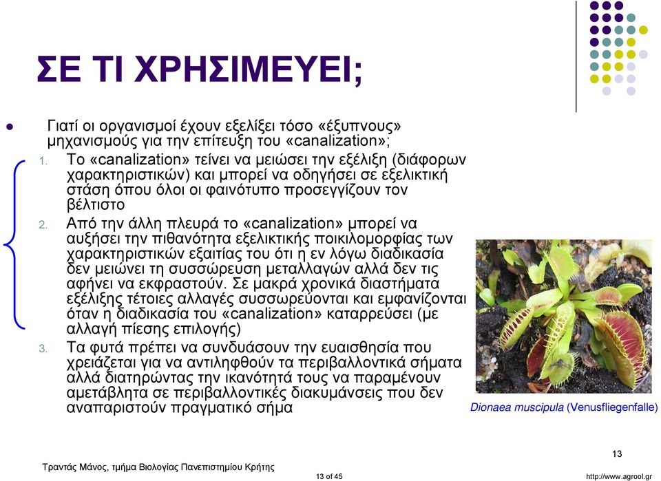 Από την άλλη πλευρά το «canalization» μπορεί να αυξήσει την πιθανότητα εξελικτικής ποικιλομορφίας των χαρακτηριστικών εξαιτίας του ότι η εν λόγω διαδικασία δεν μειώνει τη συσσώρευση μεταλλαγών αλλά