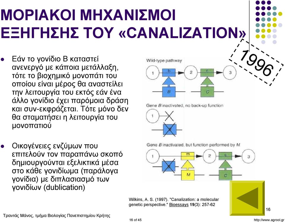 Τότε μόνο δεν θα σταματήσει η λειτουργία του μονοπατιού 1996 Οικογένειες ενζύμων που επιτελούν τον παραπάνω σκοπό δημιουργούνται εξελικτικά μέσα στο