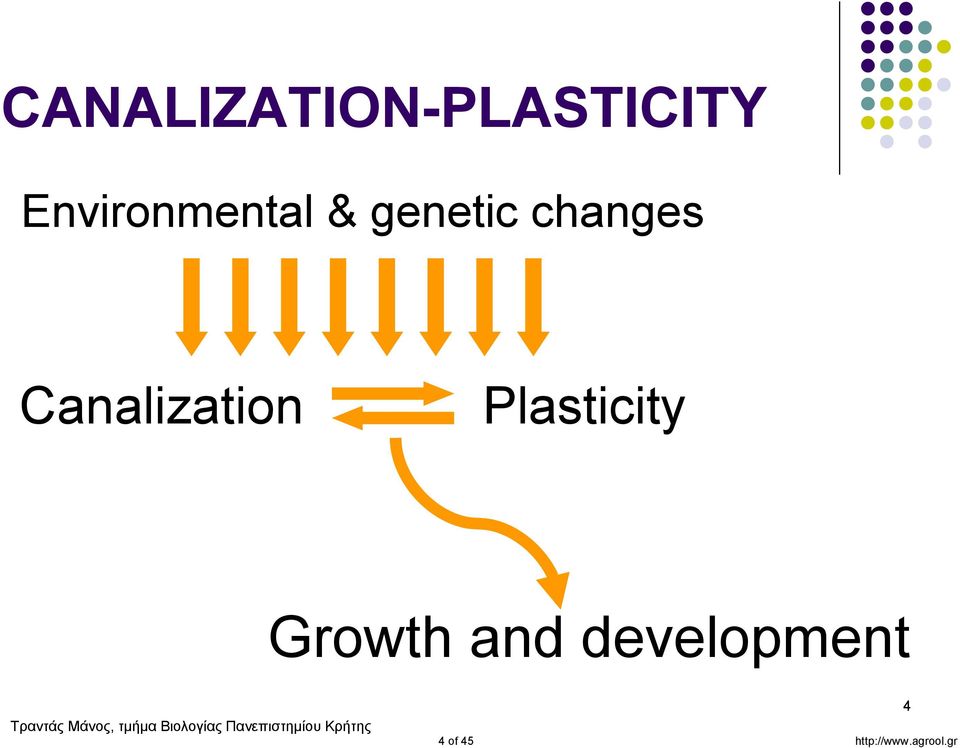 Canalization Plasticity Growth