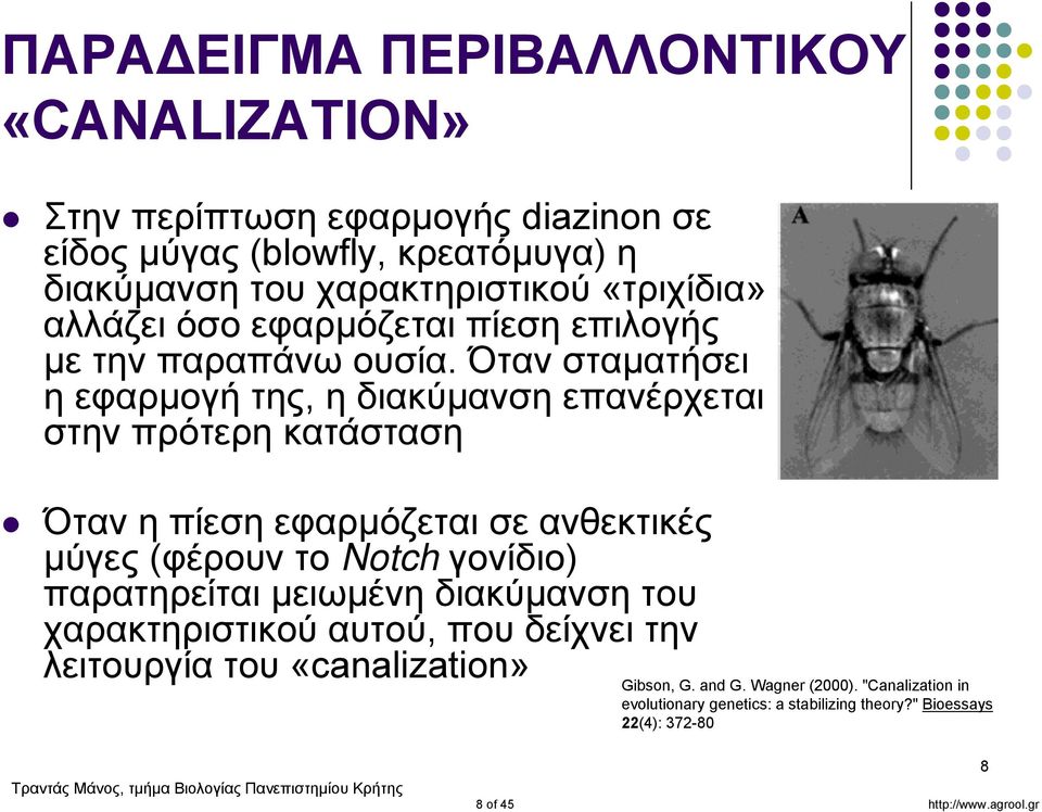 Όταν σταματήσει η εφαρμογή της, η διακύμανση επανέρχεται στην πρότερη κατάσταση Όταν η πίεση εφαρμόζεται σε ανθεκτικές μύγες (φέρουν το Notch γονίδιο)