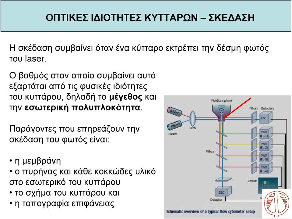 Ο βαθμός στον οποίο συμβαίνει αυτό εξαρτάται από τις φυσικές ιδιότητες του κυττάρου, δηλαδή το μέγεθος