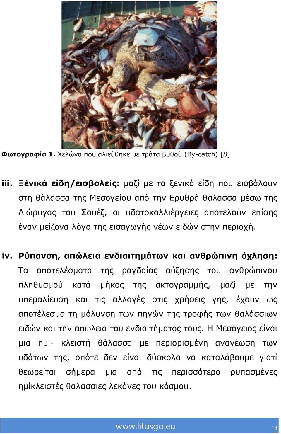 εηζαγσγήο λέσλ εηδώλ ζηελ πεξηνρή. iv.