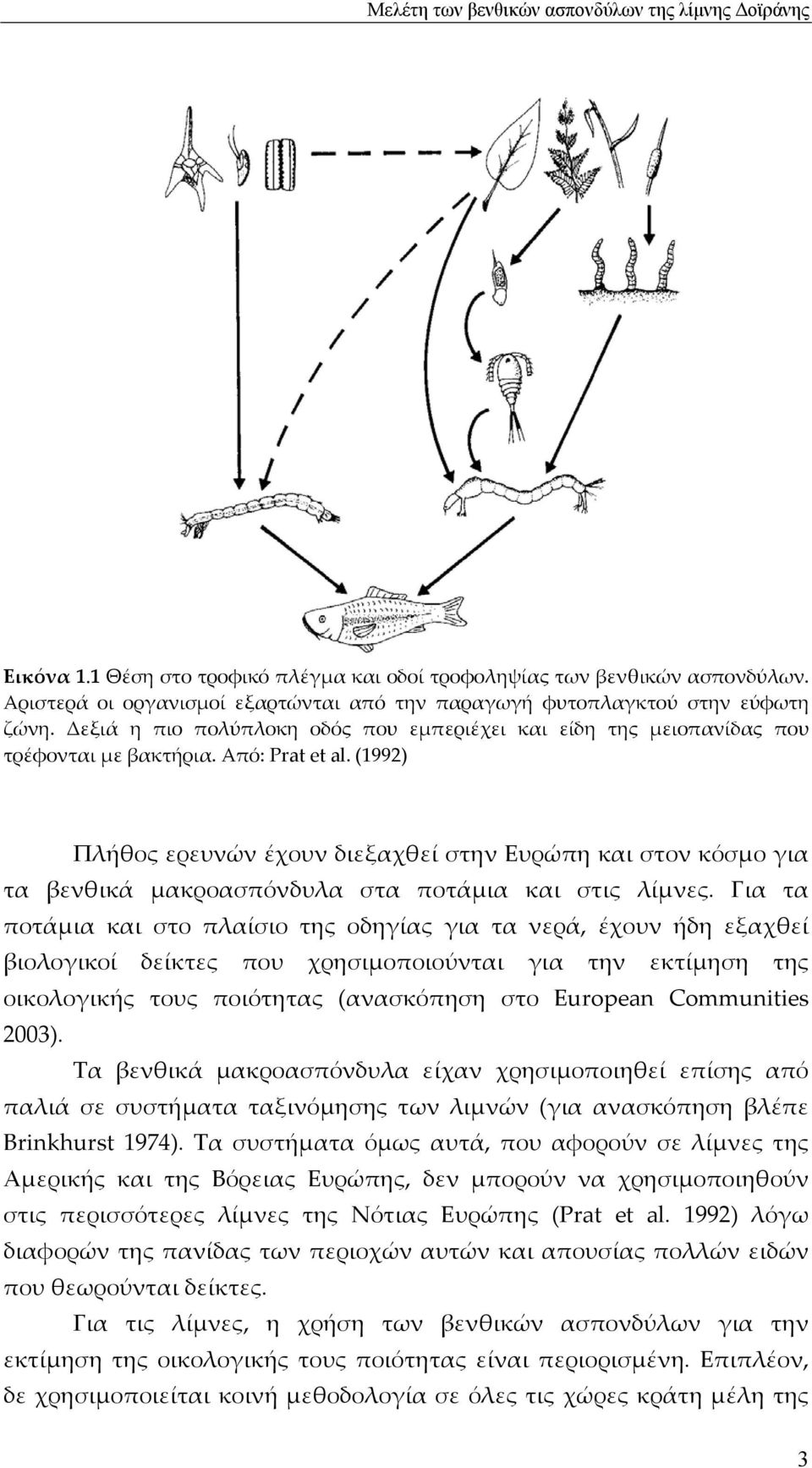 (1992) Πλήθος ερευνών έχουν διεξαχθεί στην Ευρώπη και στον κόσμο για τα βενθικά μακροασπόνδυλα στα ποτάμια και στις λίμνες.