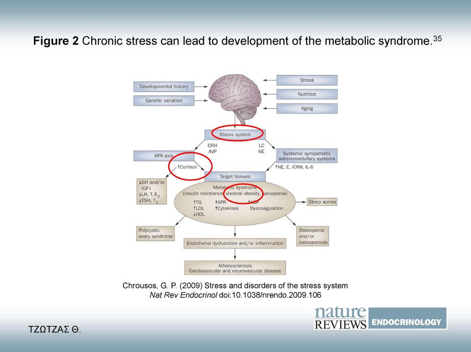 (2009) Stress and disorders of the stress