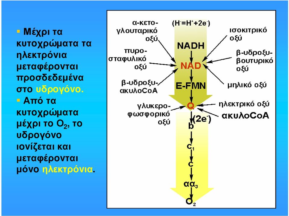 Απότα κυτoχρώµατα µέχριτoο 2, τo