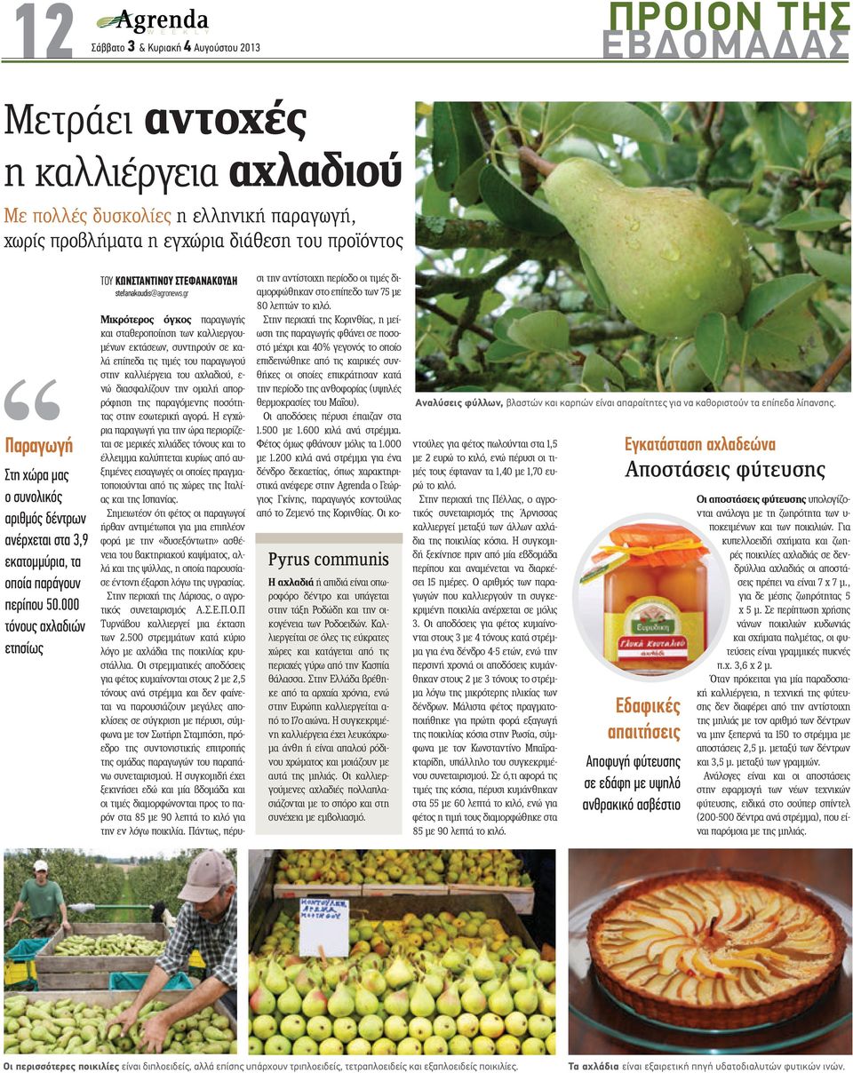 gr Pyrus communis Η αχλαδιά ή απιδιά είναι οπωροφόρο δέντρο και υπάγεται στην τάξη Ροδώδη και την οικογένεια των Ροδοειδών.