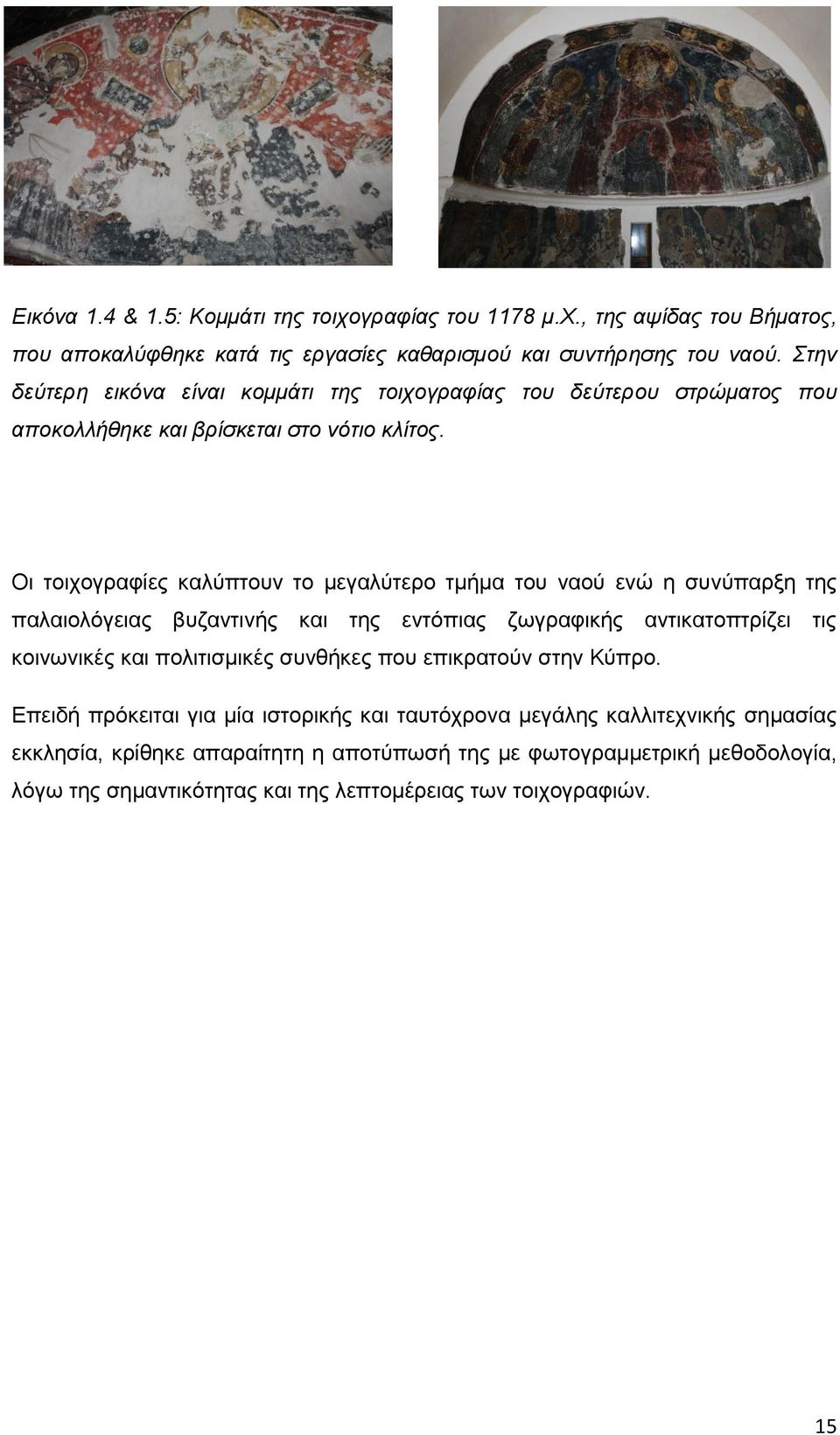 Οη ηνηρνγξαθίεο θαιύπηνπλ ην κεγαιύηεξν ηκήκα ηνπ λανύ ελώ ε ζπλύπαξμε ηεο παιαηνιόγεηαο βπδαληηλήο θαη ηεο εληόπηαο δσγξαθηθήο αληηθαηνπηξίδεη ηηο θνηλσληθέο θαη πνιηηηζκηθέο