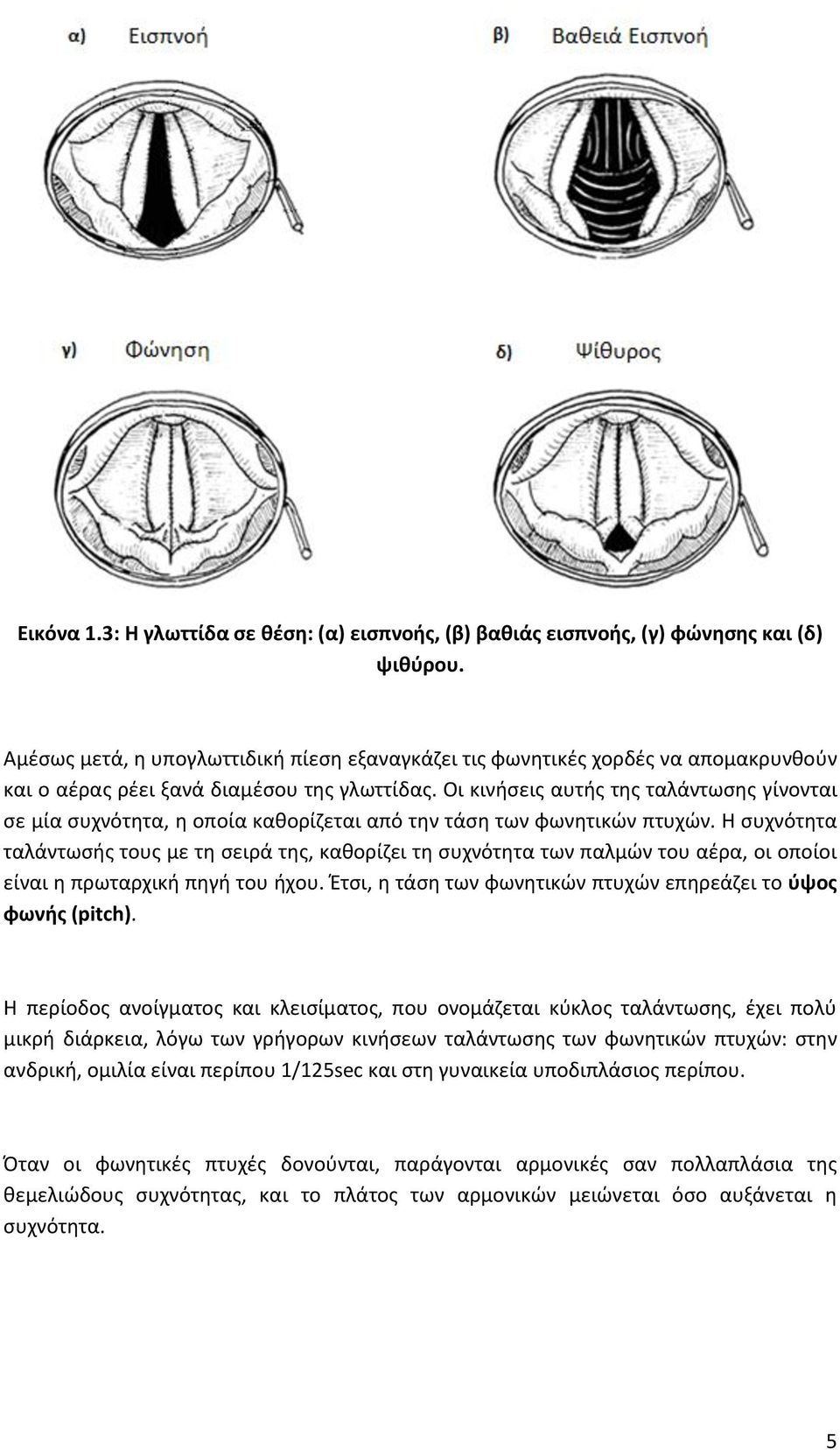 Οι κινήσεις αυτής της ταλάντωσης γίνονται σε μία συχνότητα, η οποία καθορίζεται από την τάση των φωνητικών πτυχών.