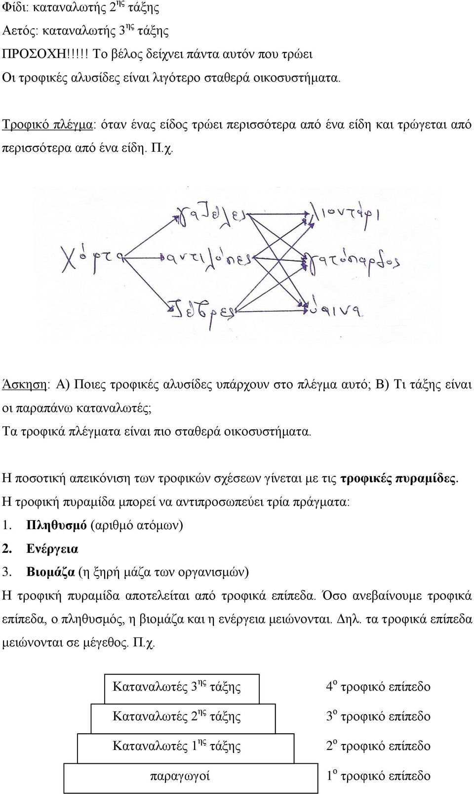 Άζθεζε: Α) Πνηεο ηξνθηθέο αιπζίδεο ππάξρνπλ ζην πιέγκα απηό; Β) Ση ηάμεο είλαη νη παξαπάλσ θαηαλαισηέο; Σα ηξνθηθά πιέγκαηα είλαη πην ζηαζεξά νηθνζπζηήκαηα.