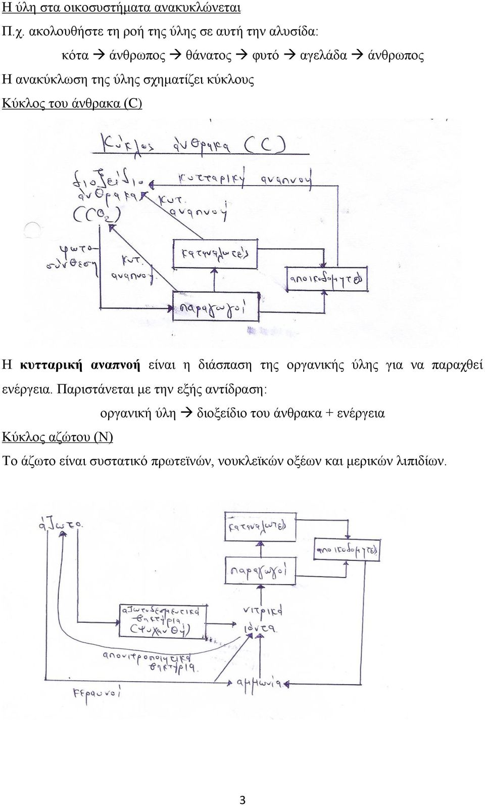 ζρεκαηίδεη θύθινπο Κύθινο ηνπ άλζξαθα (C) Ζ θπηηαξηθή αλαπλνή είλαη ε δηάζπαζε ηεο νξγαληθήο ύιεο γηα λα παξαρζεί