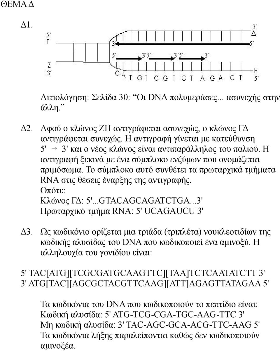 Το σύμπλοκο αυτό συνθέτει τα πρωταρχικά τμήματα RNA στις θέσεις έναρξης της αντιγραφής. Οπότε: Κλώνος ΓΔ: 5'...GTACAGCAGATCTGA...3' Πρωταρχικό τμήμα RNA: 5' UCAGAUCU 3' Δ3.