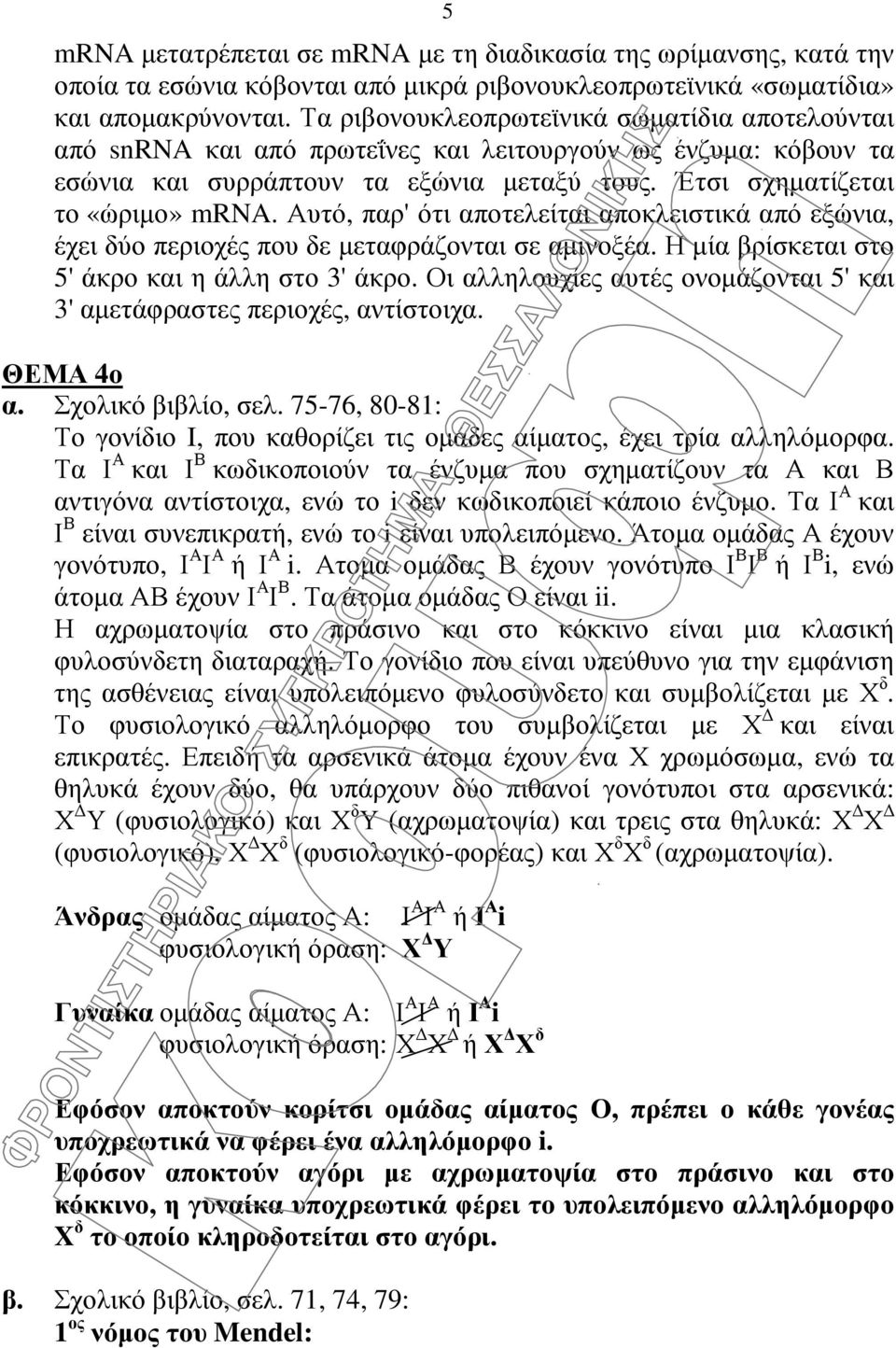 Αυτό, παρ' ότι αποτελείται αποκλειστικά από εξώνια, έχει δύο περιοχές που δε µεταφράζονται σε αµινοξέα. Η µία βρίσκεται στο 5' άκρο και η άλλη στο 3' άκρο.