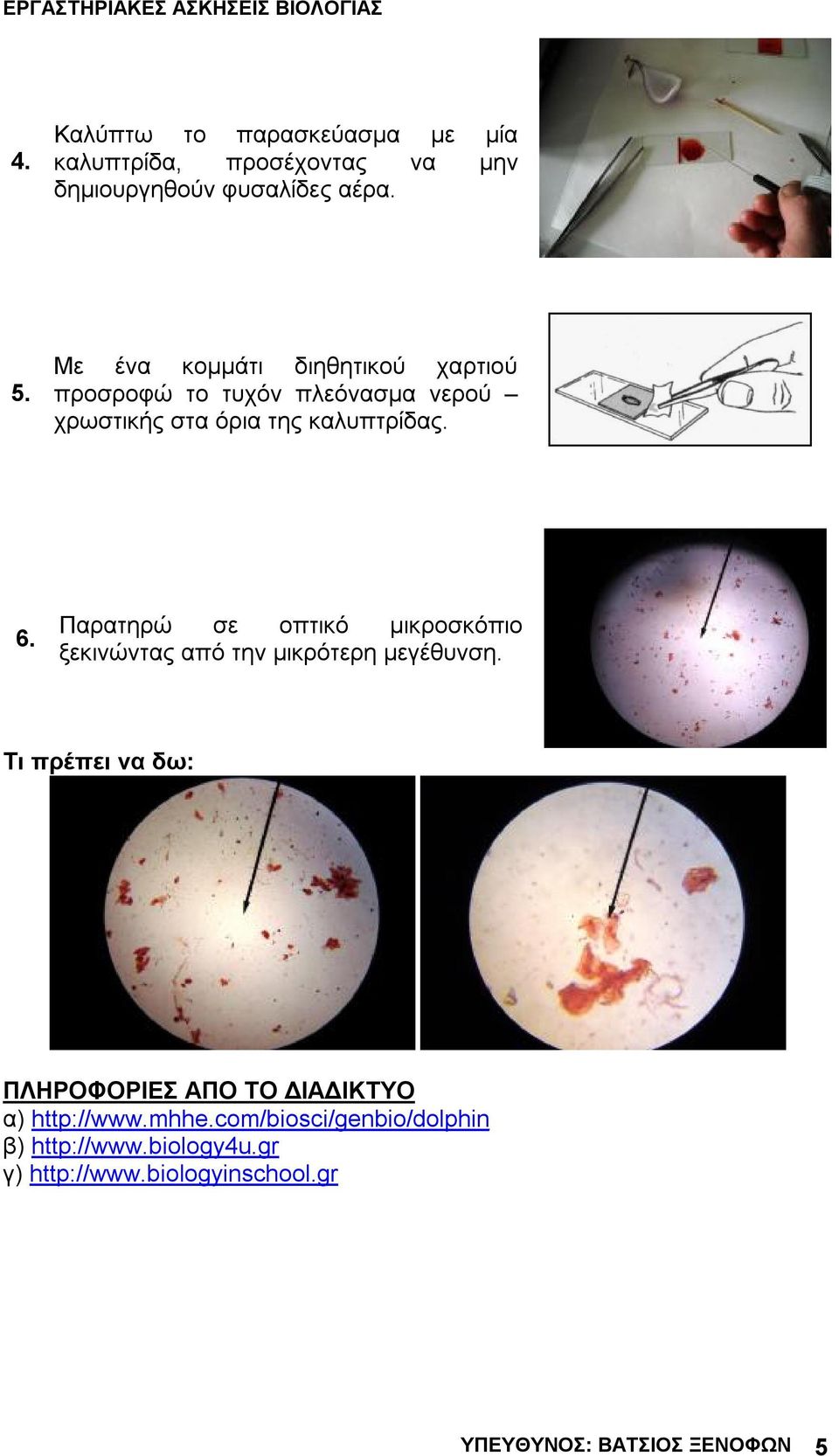 Παρατηρώ σε οπτικό μικροσκόπιο ξεκινώντας από την μικρότερη μεγέθυνση.