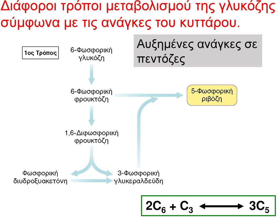 ανάγκες του κυττάρου.