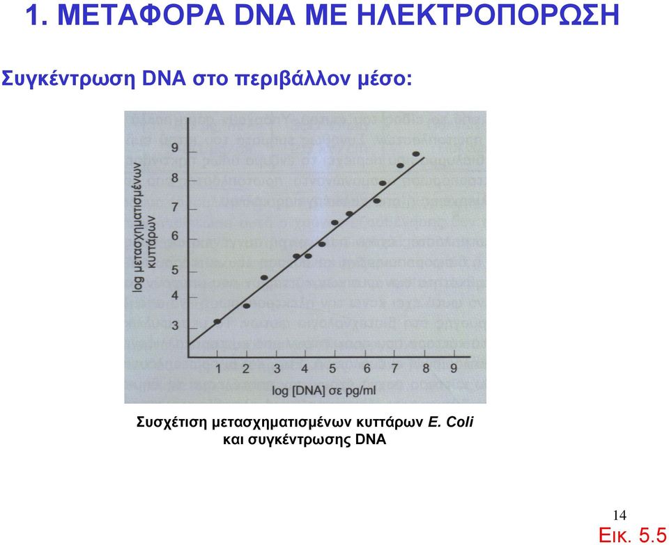 μετασχηματισμένων κυττάρων Ε.