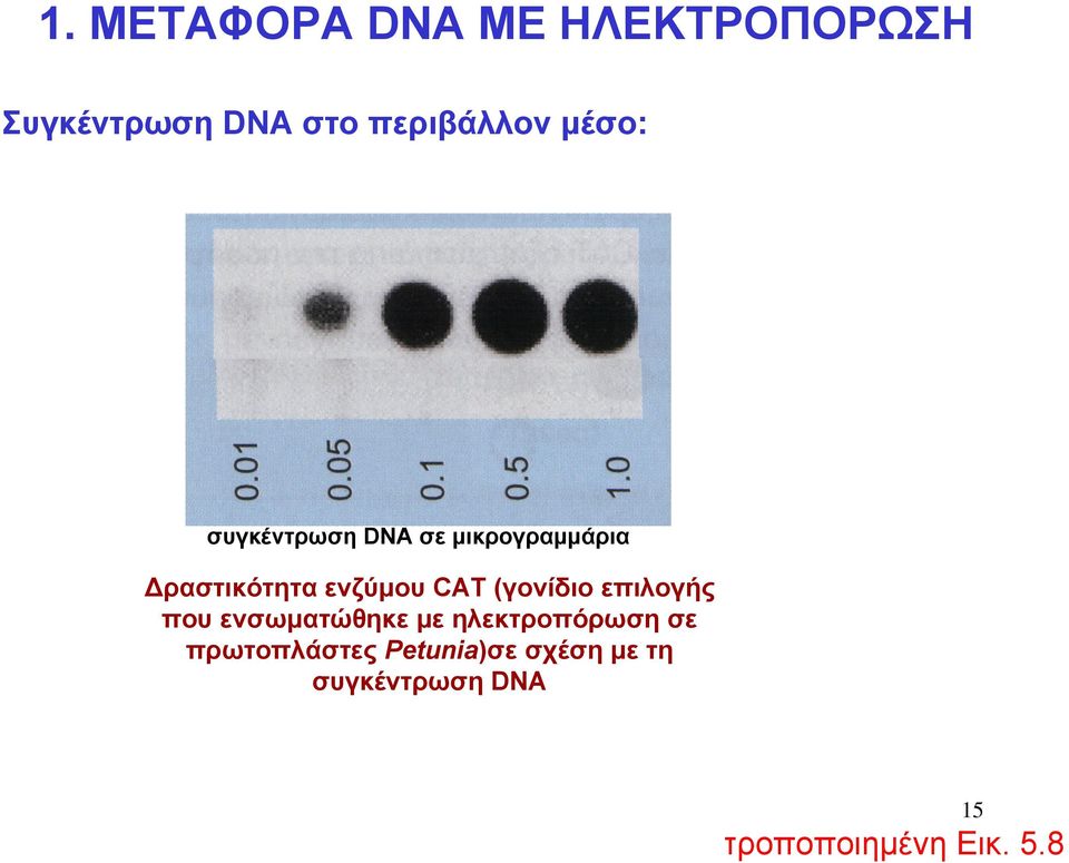 επιλογής που ενσωματώθηκε με ηλεκτροπόρωση σε