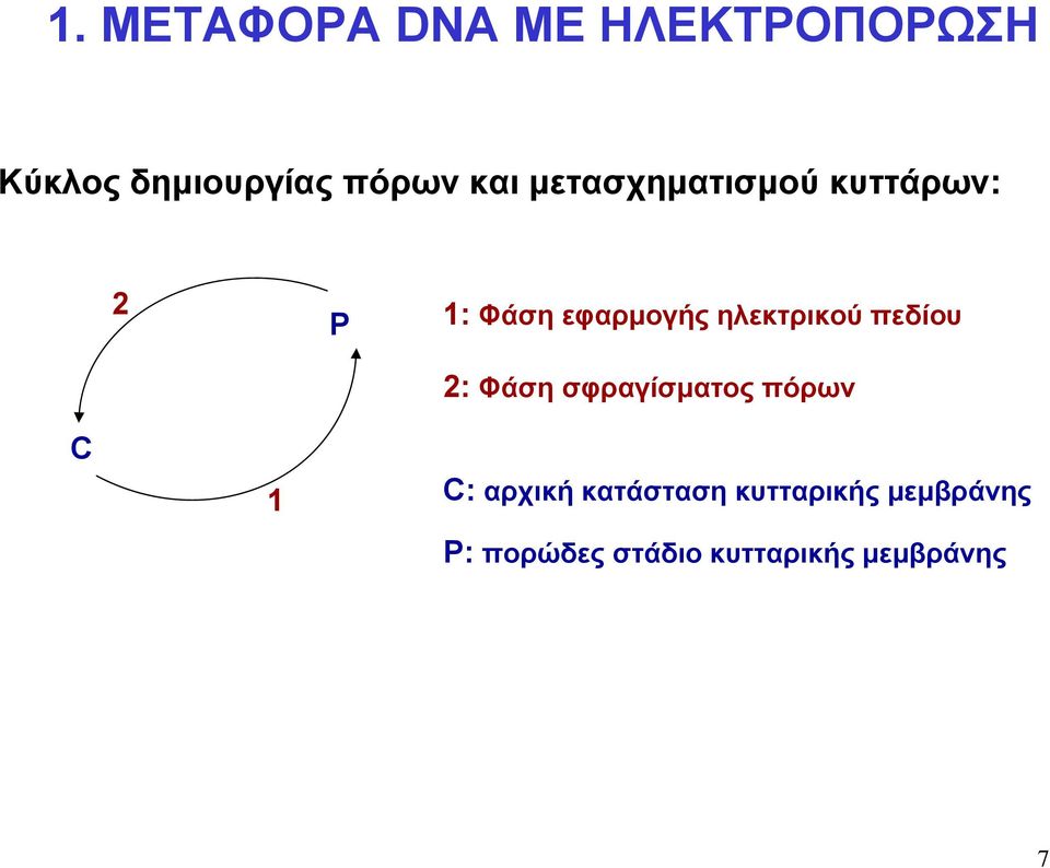 2: Φάση σφραγίσματος πόρων C 1 C: αρχική κατάσταση