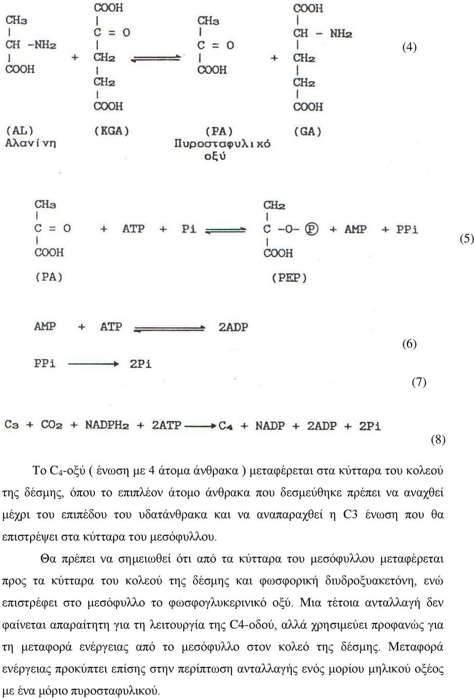 Θα πρέπει να σημειωθεί ότι από τα κύτταρα του μεσόφυλλου μεταφέρεται προς τα κύτταρα του κολεού της δέσμης και φωσφορική διυδροξυακετόνη, ενώ επιστρέφει στο μεσόφυλλο το φωσφογλυκερινικό