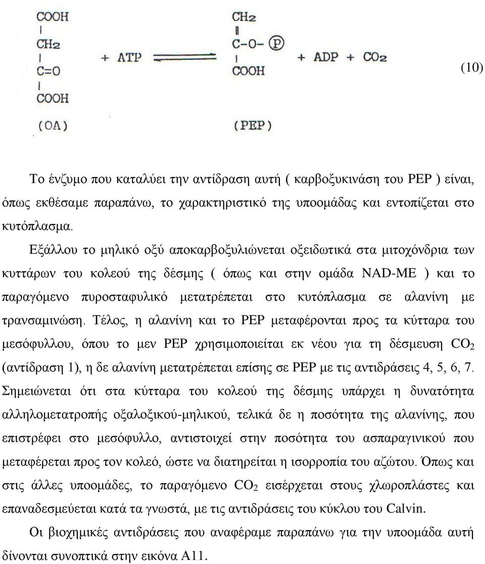 αλανίνη με τρανσαμινώση.