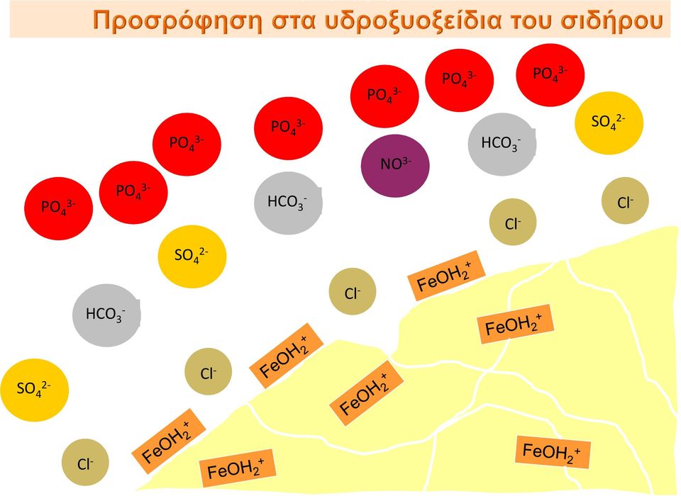 PO 4 HCO 3 - Cl - Cl - SO 4 2-