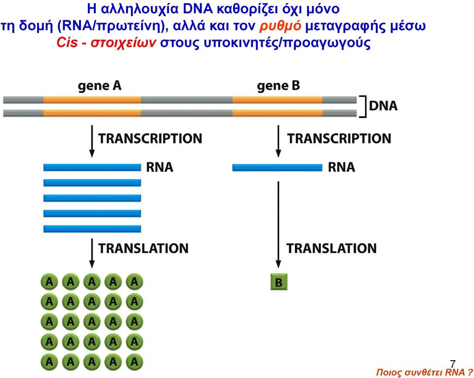 μεταγραφής μέσω Cis - στοιχείων στους