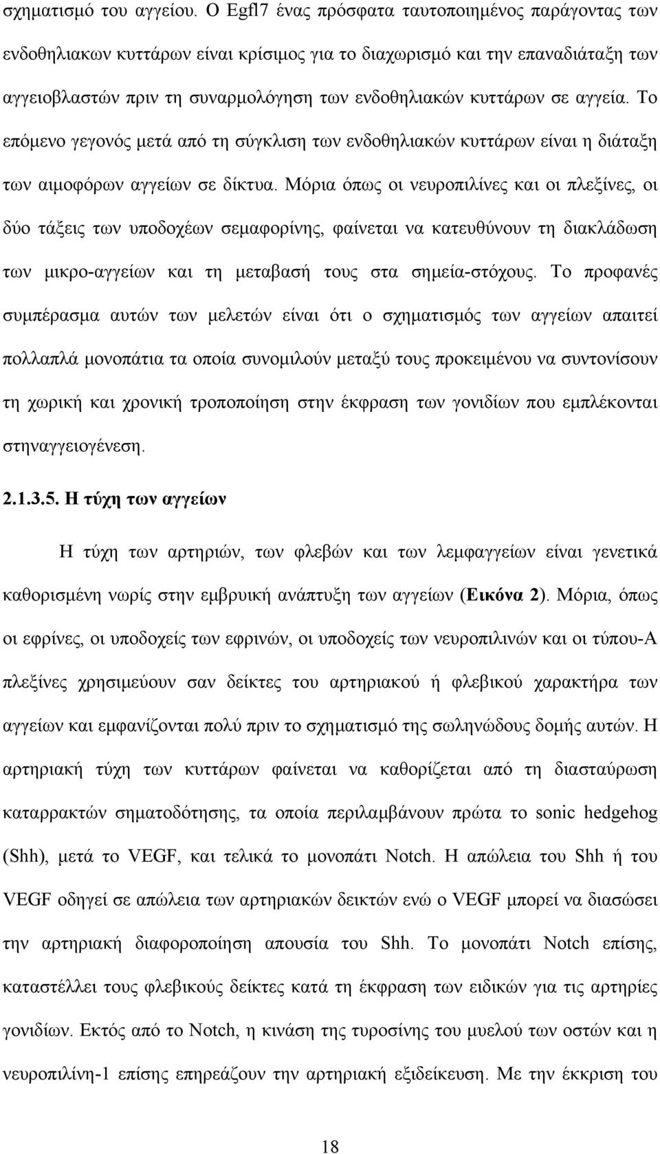 αγγεία. Το επόμενο γεγονός μετά από τη σύγκλιση των ενδοθηλιακών κυττάρων είναι η διάταξη των αιμοφόρων αγγείων σε δίκτυα.