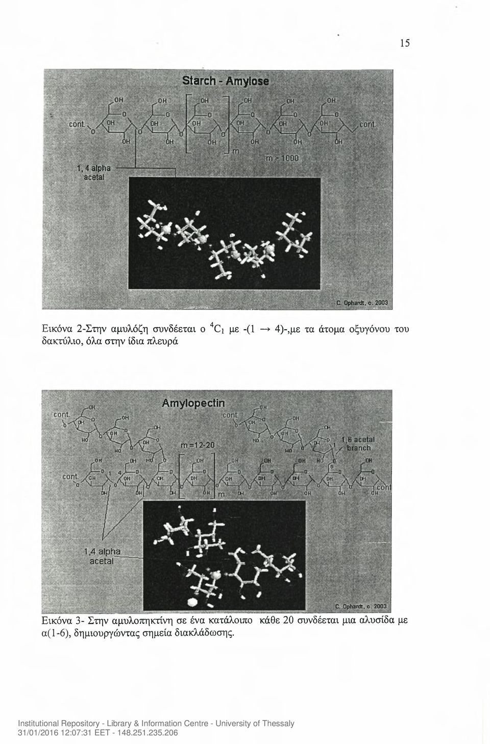 Amylopectin m =12-20 wo 0 t-i. : r>. voh :m ί hi Γ Γ J o j OH \ yxt X 1,6 acetal 1 / branch 0 CH 1 ί -.