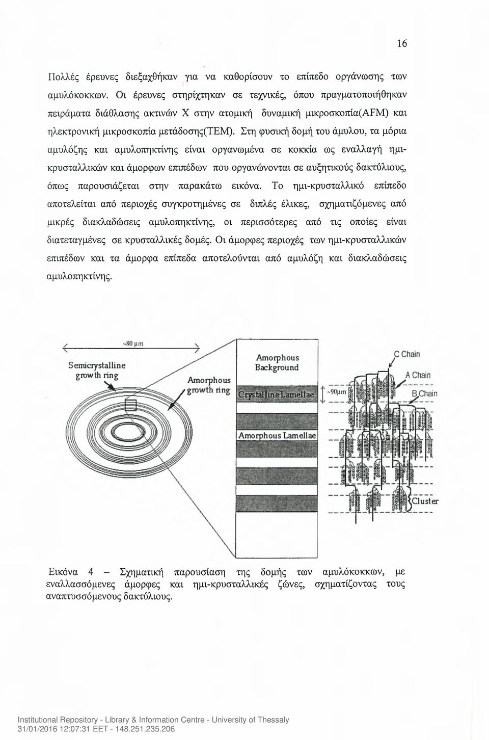 Στη φυσική δομή του άμυλου, τα μόρια αμυλόζης και αμυλοπηκτίνης είναι οργανωμένα σε κοκκία ως εναλλαγή ημικρυσταλλικών και άμορφων επιπέδων που οργανώνονται σε αυξητικούς δακτύλιους, όπως