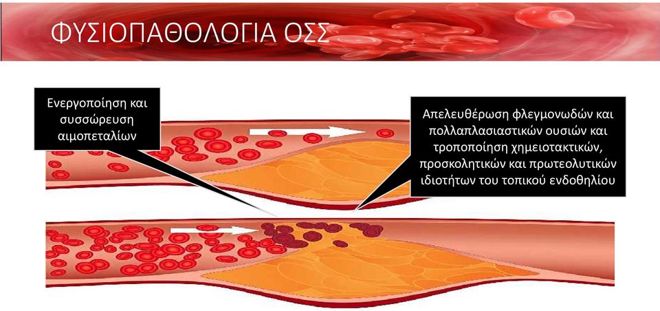 πολλαπλασιαστικών ουσιών και τροποποίηση