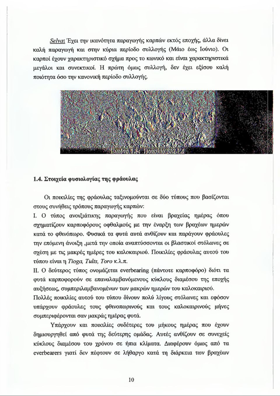 Στοιχεία φυσιολογίας της φράουλας Οι ποικιλίες της φράουλας ταξινομούνται σε δύο τύπους που βασίζονται στους συνήθεις τρόπους παραγωγής καρπών: I.