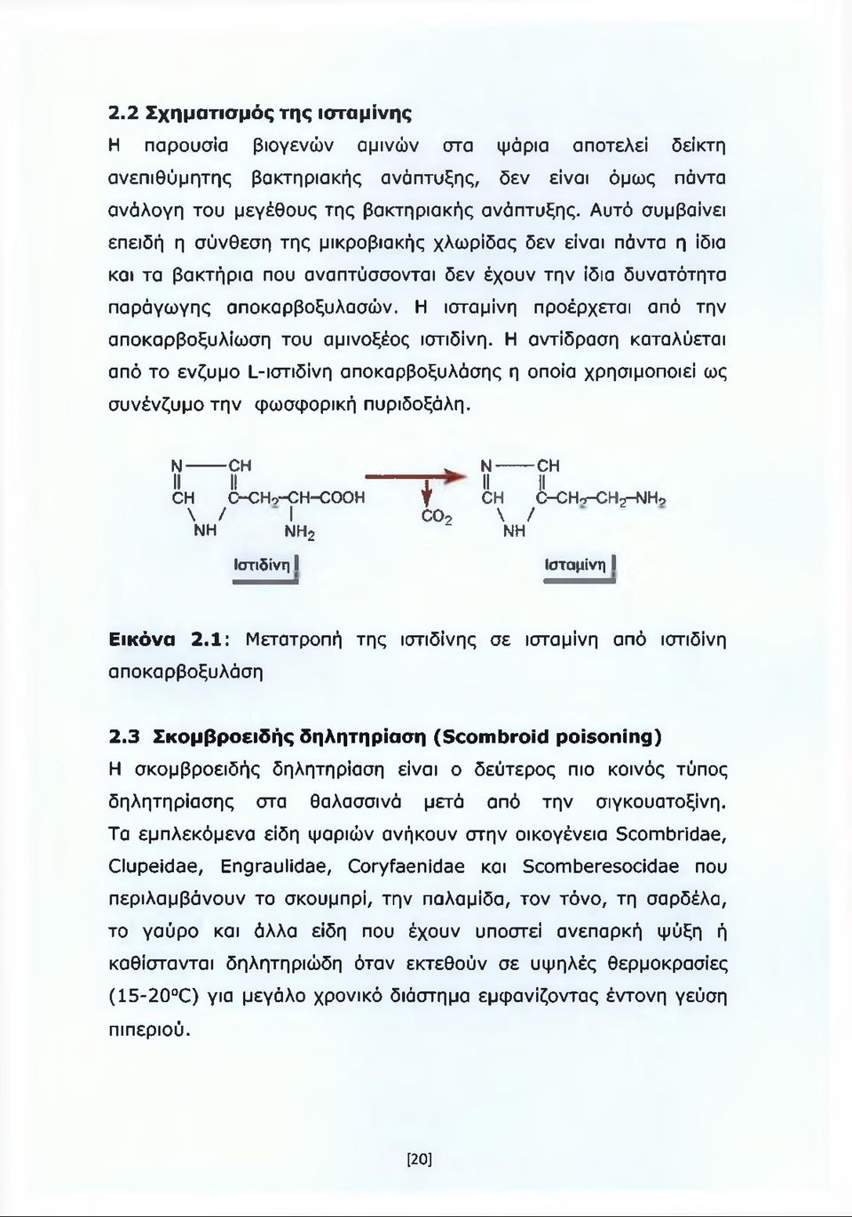 Η ισταμίνη προέρχεται από την αποκαρβοξυλίωση του αμινοξέος ιστιδίνη. Η αντίδραση καταλύεται από το ένζυμο Ι_-ιστιδίνη αποκαρβοξυλάσης η οποία χρησιμοποιεί ως συνένζυμο την φωσφορική πυριδοξάλη.