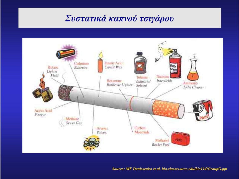 Denissenko et al. bio.