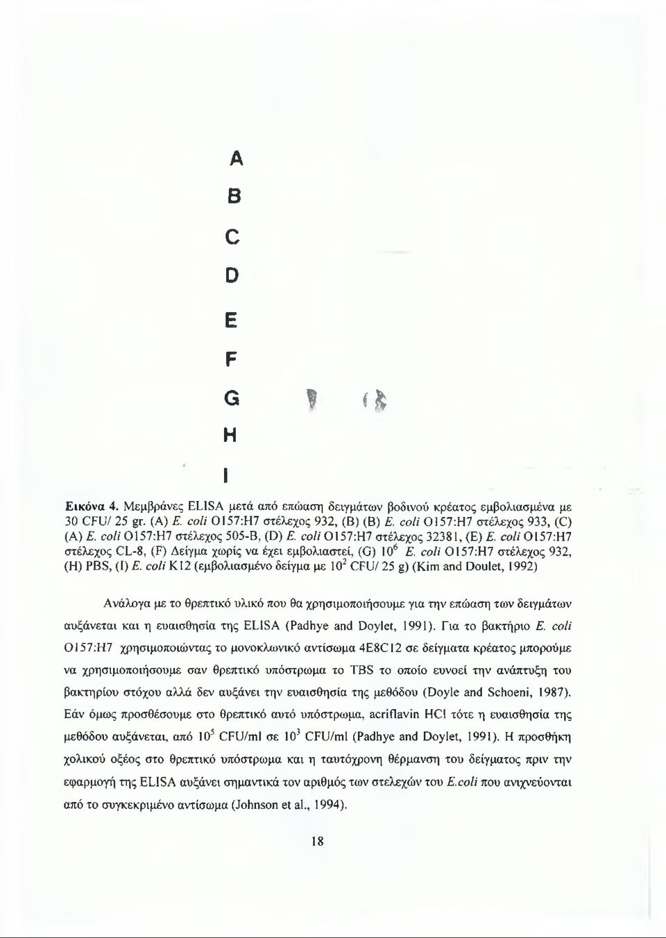 coli 0157:Η7 στέλεχος 932, (Η) PBS, (I) Ε.