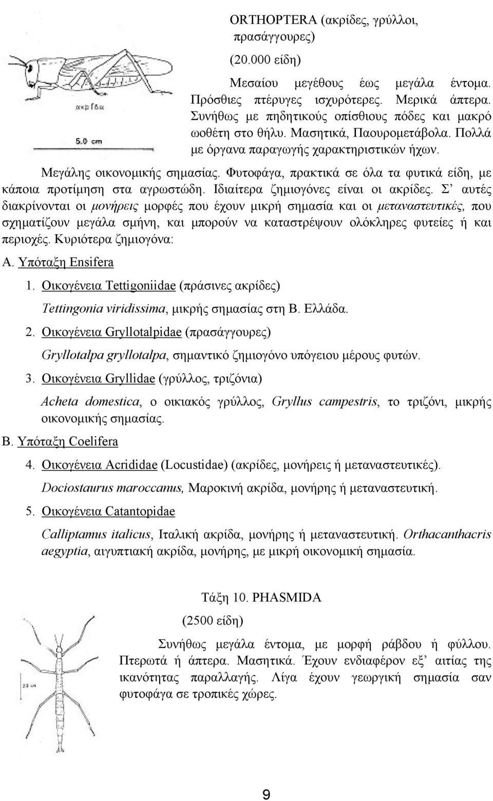 Φυτοφάγα, πρακτικά σε όλα τα φυτικά είδη, µε κάποια προτίµηση στα αγρωστώδη. Ιδιαίτερα ζηµιογόνες είναι οι ακρίδες.