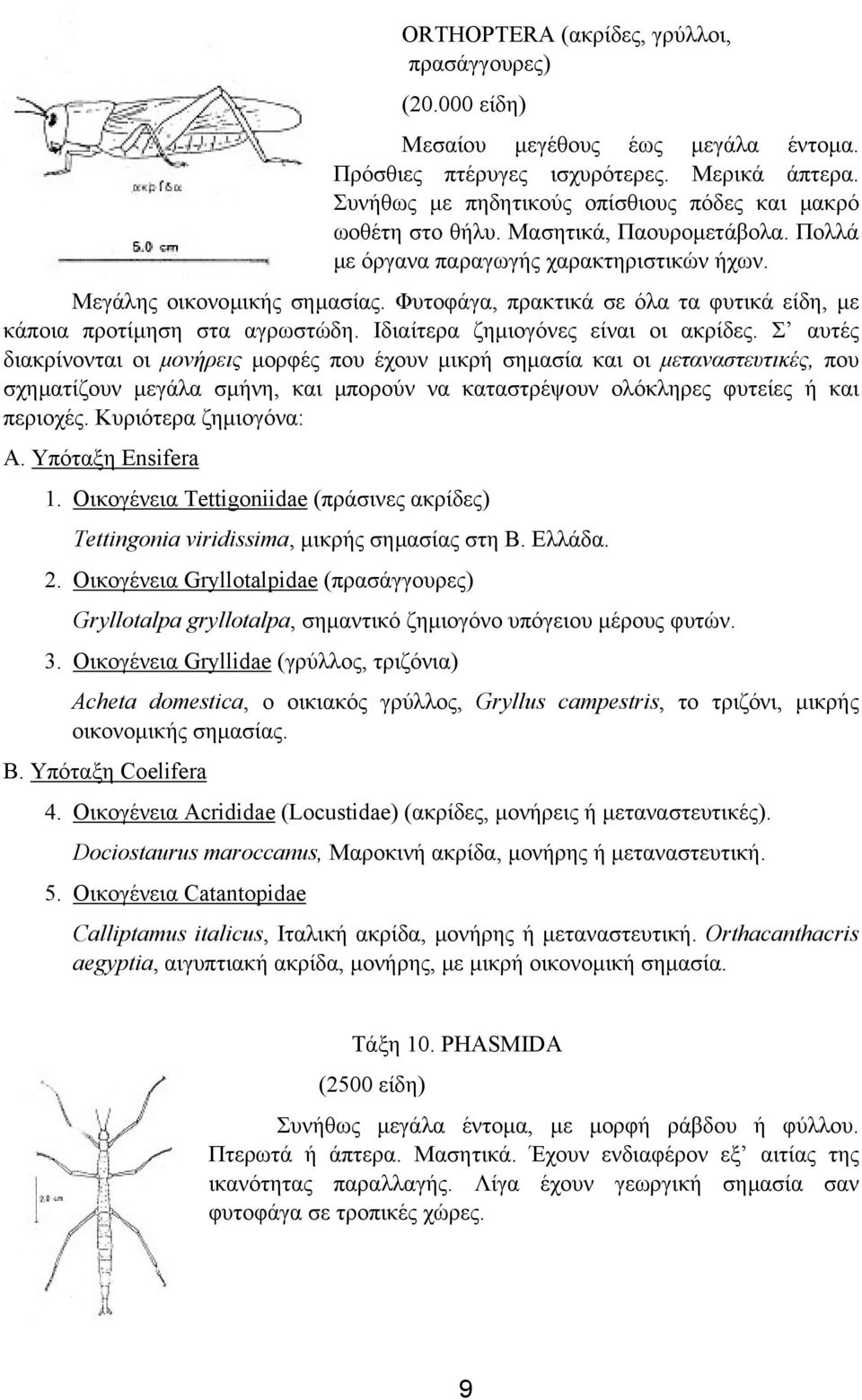 Φυτοφάγα, πρακτικά σε όλα τα φυτικά είδη, µε κάποια προτίµηση στα αγρωστώδη. Ιδιαίτερα ζηµιογόνες είναι οι ακρίδες.