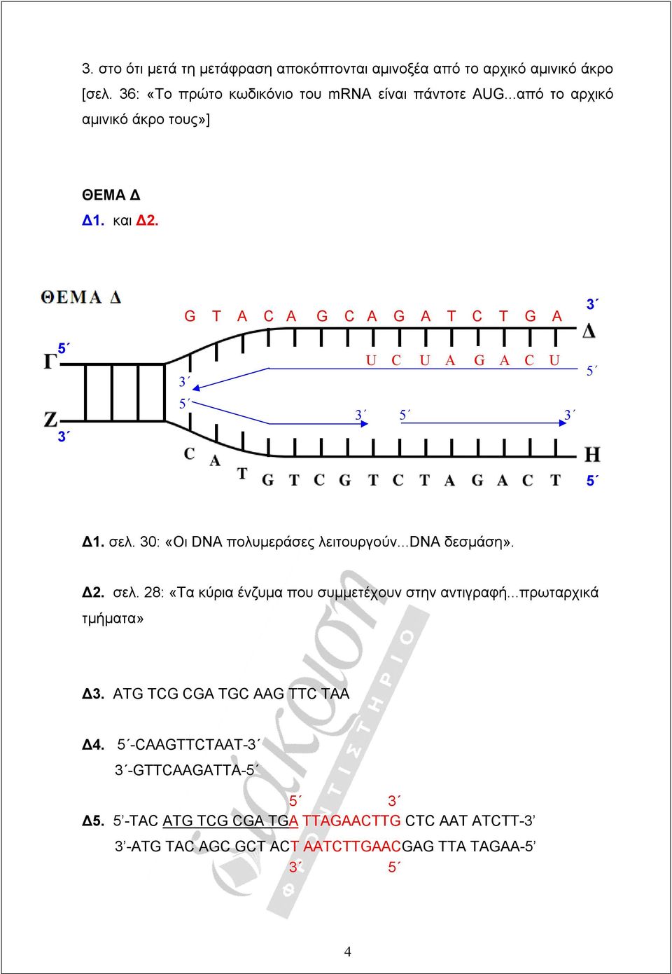 30: «Οι DNA πολυμεράσες λειτουργούν...dna δεσμάση». Δ2. σελ. 28: «Τα κύρια ένζυμα που συμμετέχουν στην αντιγραφή...πρωταρχικά τμήματα» Δ3.