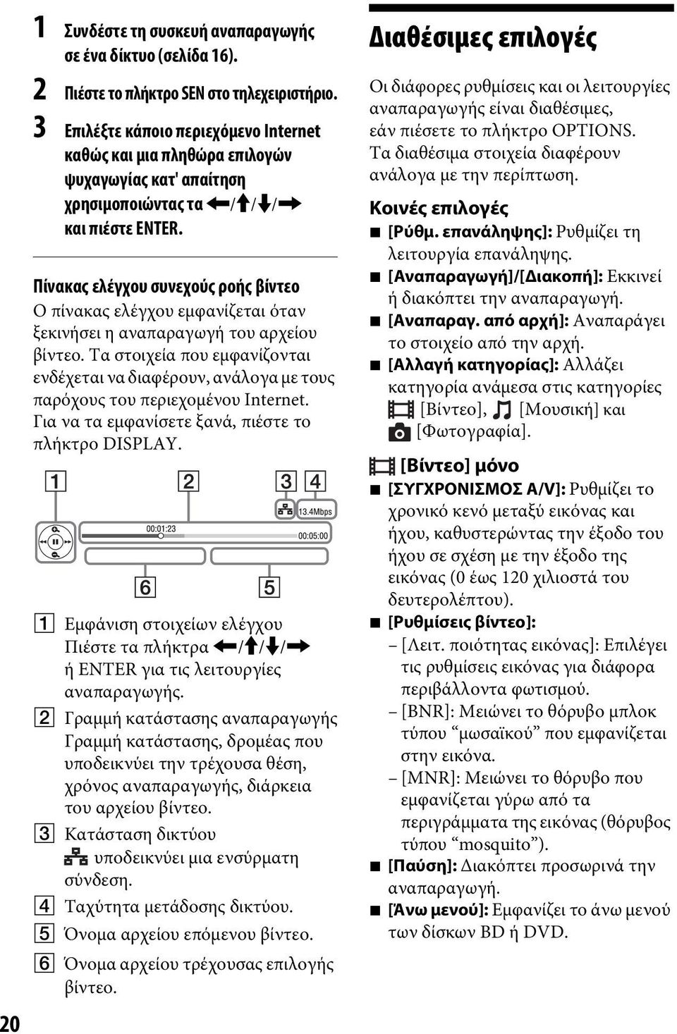 Πίνακας ελέγχου συνεχούς ροής βίντεο Ο πίνακας ελέγχου εμφανίζεται όταν ξεκινήσει η αναπαραγωγή του αρχείου βίντεο.