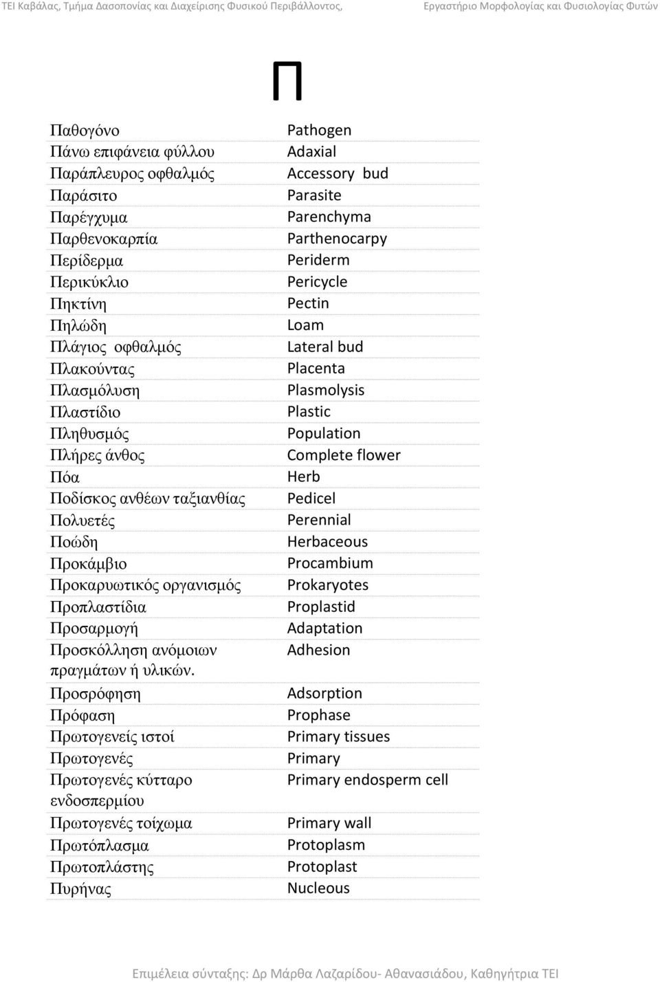 Προσρόφηση Πρόφαση Πρωτογενείς ιστοί Πρωτογενές Πρωτογενές κύτταρο ενδοσπερμίου Πρωτογενές τοίχωμα Πρωτόπλασμα Πρωτοπλάστης Πυρήνας Pathogen Adaxial Accessory bud Parasite Parenchyma Parthenocarpy