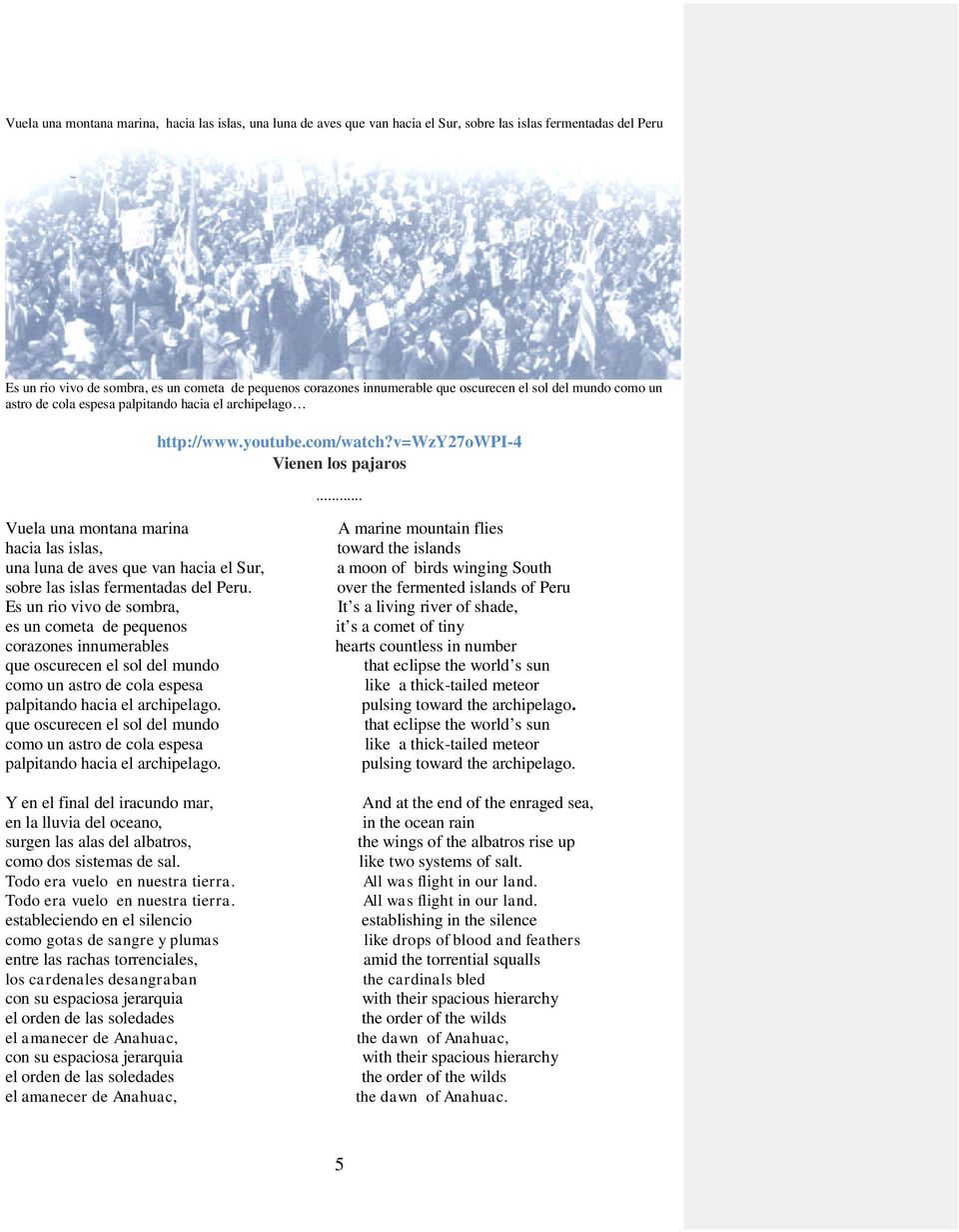 .. Vuela una montana marina hacia las islas, una luna de aves que van hacia el Sur, sobre las islas fermentadas del Peru.