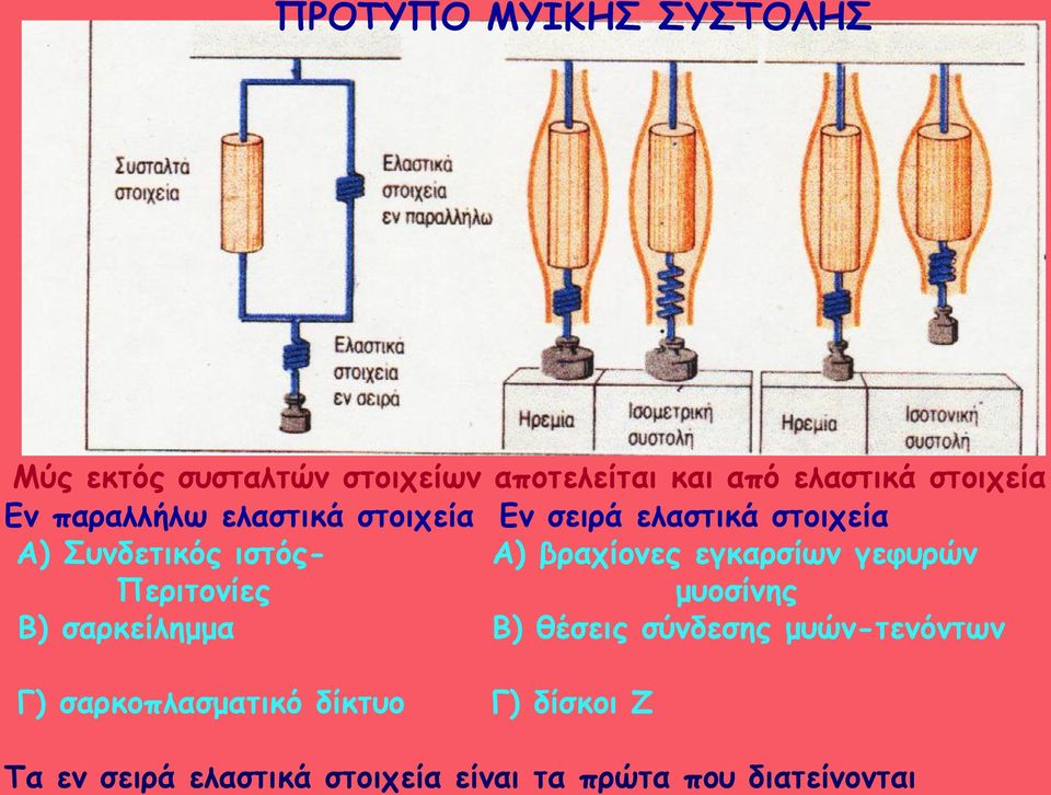 εγθανζίςκ γεθονώκ Πενηημκίεξ μομζίκεξ Β) ζανθείιεμμα Β) ζέζεηξ ζύκδεζεξ μοώκ-ηεκόκηςκ Γ)