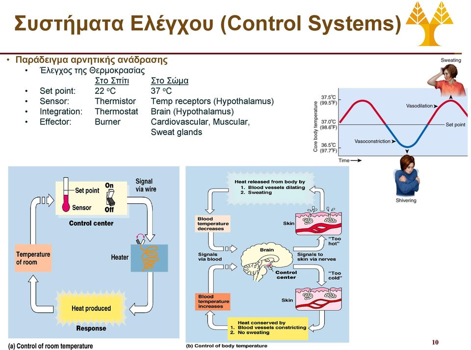 Sensor: Thermistor Temp receptors (Hypothalamus) Integration: