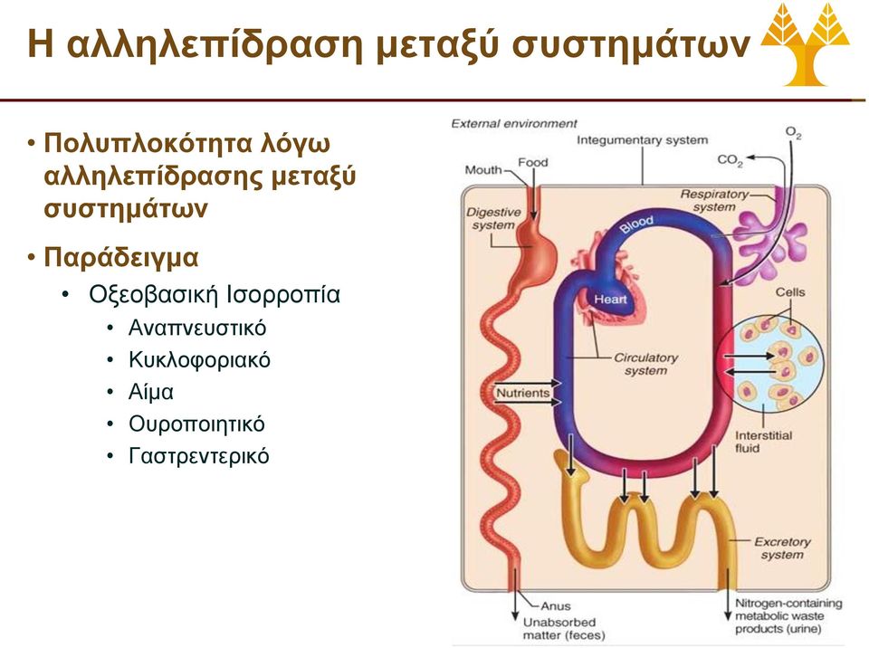 συστημάτων Παράδειγμα Οξεοβασική Ισορροπία