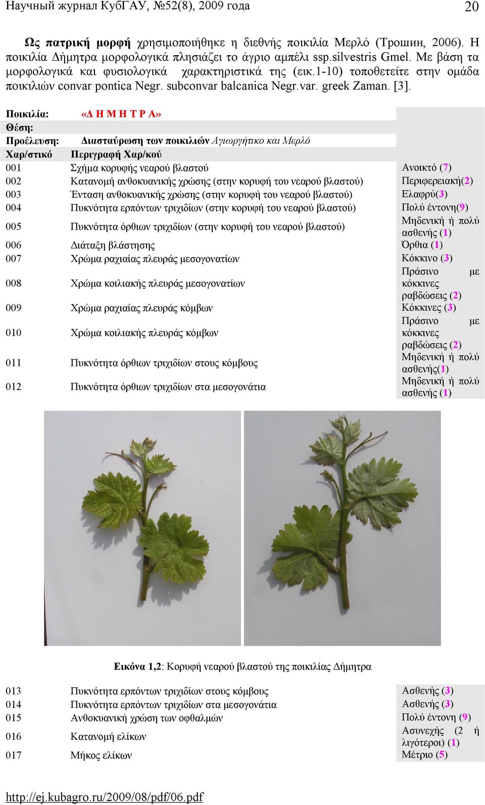 Ποικιλία: «Δ Η Μ Η Τ Ρ Α» Θέση: Προέλευση: Διασταύρωση των ποικιλιών Αγιωργήτικο και Μερλό Χαρ/στικό Περιγραφή Χαρ/κού 001 Σχήμα κορυφής νεαρού βλαστού Ανοικτό (7) 002 Κατανομή ανθοκυανικής χρώσης
